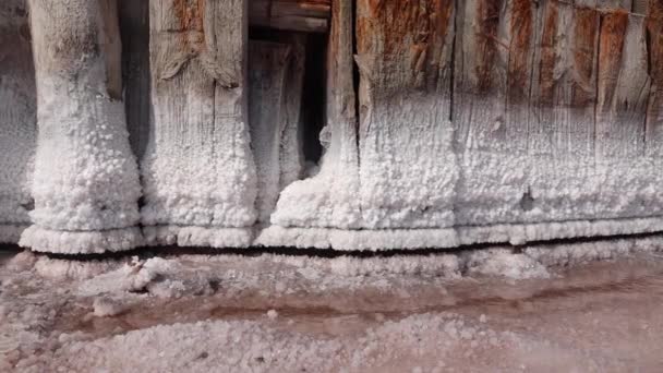 Séchage Estuaire Kuyalnik Cristaux Sel Sur Piliers Bois Une Ancienne — Video