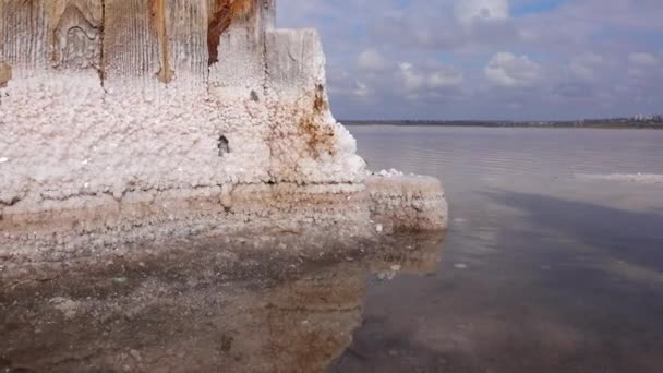Ξηραίνοντας Εκβολές Του Kuyalnik Κρύσταλλοι Αλατιού Ξύλινους Πυλώνες Μιας Παλιάς — Αρχείο Βίντεο
