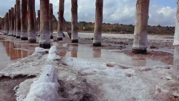 干燥的库雅尔尼克河口 18世纪一个古老的盐业木柱上的盐晶 生态问题是干旱 — 图库视频影像