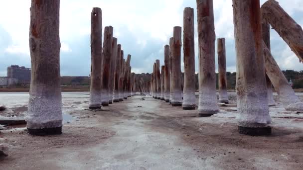 Séchage Estuaire Kuyalnik Cristaux Sel Sur Piliers Bois Une Ancienne — Video