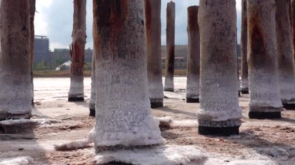 Secado Del Estuario Kuyalnik Cristales Sal Sobre Pilares Madera Una — Vídeo de stock