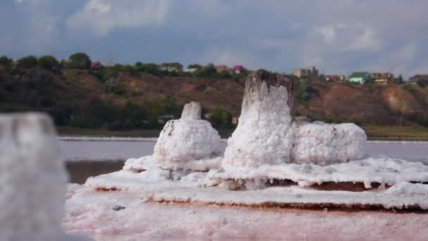 Secado Del Estuario Kuyalnik Cristales Sal Sobre Pilares Madera Una — Vídeo de stock