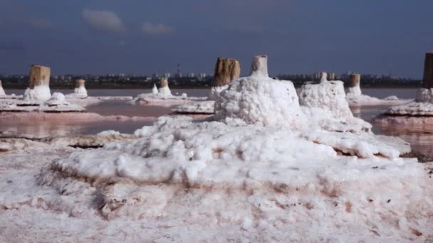 Secado Del Estuario Kuyalnik Cristales Sal Sobre Pilares Madera Una — Vídeo de stock