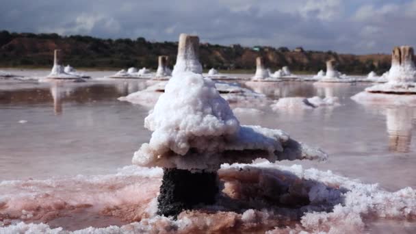 Secado Del Estuario Kuyalnik Cristales Sal Sobre Pilares Madera Una — Vídeo de stock