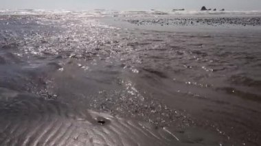 Pasifik Okyanusu kıyısı, küçük bir nehrin hızlı akan suyu sahil boyunca akar, Olimpiyat Ulusal Parkı, ABD, Washington
