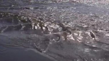 Pasifik Okyanusu kıyısı, küçük bir nehrin hızlı akan suyu sahil boyunca akar, Olimpiyat Ulusal Parkı, ABD, Washington