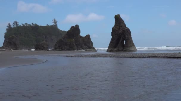 Costa Del Océano Pacífico Grandes Acantilados Islas Cerca Orilla Parque — Vídeos de Stock