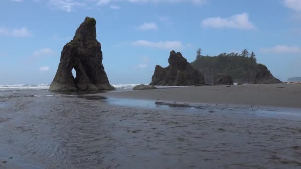 太平洋の海岸 海岸近くの大きな崖や島 オリンピック国立公園 アメリカ合衆国 ワシントン — ストック動画