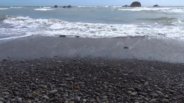 Pacific Coast Pebble Beach Ocean Waves Olympic National Park Eua — Vídeo de Stock