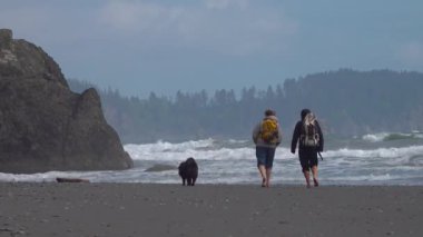 Pasifik Okyanusu kıyısında, köpekli turistler okyanus kıyısında yürüyorlar. Olympic Ulusal Parkı, ABD, Washington