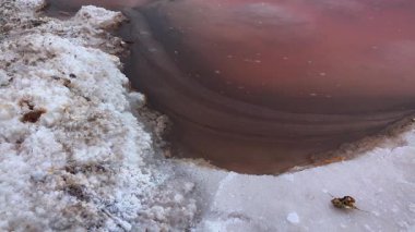 Kuialnyk Estuary, su ve tuz yüzeyinde siyah toz, tuzlu sodyum klorür kristalize edildi.