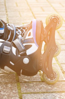 Paten bacaklar skatepark içinde kapatın. Düşük bölümü. Tekerlekli paten ekstrem spordur