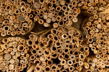 Saman yakından çatı kaplama. Thatch. Eşit saman aracın üstüne kesmek