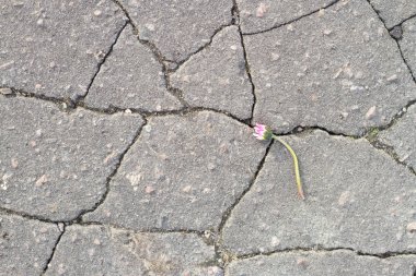 Kırık asfalt yol yüzey dokusu. Gri doku yolun.