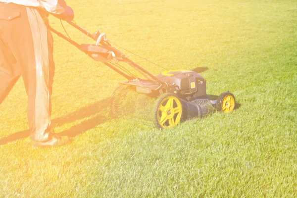 夏日阳光明媚的一天在足球场修剪草坪 — 图库照片