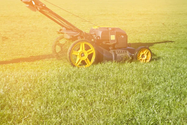 Nahaufnahme Zeitlupe Eines Rasenmähers Aktion — Stockfoto