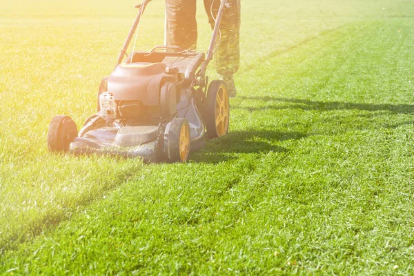 Worker Guy Shake Pour Grass Lawn Mower Bag Wheelbarrow Garden — Stock Photo, Image