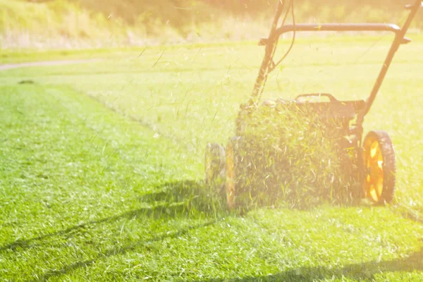 Nahaufnahme Einer Frau Die Mit Dem Rasenmäher Das Gras Mäht — Stockfoto