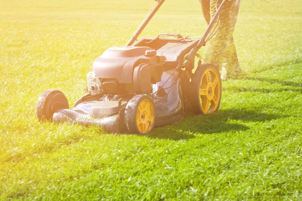 Worker Guy Shake Pour Grass Lawn Mower Bag Wheelbarrow Garden — Stock Photo, Image