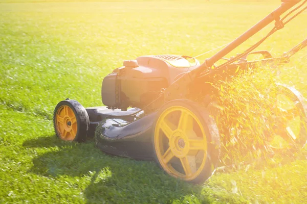 트랙터 효과적으로 잔디밭에 목초를 잘라에서 그것의 — 스톡 사진