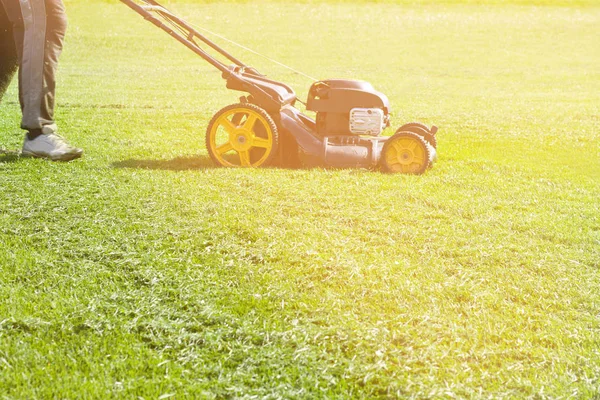 Nahaufnahme Einer Frau Die Mit Dem Rasenmäher Das Gras Mäht — Stockfoto