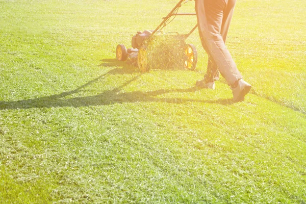 Närbild Kvinna Som Klipper Gräset Med Gräsklippare — Stockfoto