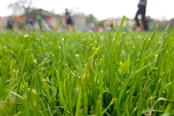 Fútbol Maíz Agilidad Borrosa Campo Fútbol Borroso Juego Atlético Entrenamiento — Foto de Stock