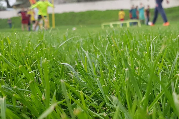 ぼやけサッカー再生 トレーニング フィールド アスレチック フィールドにぼやけて敏捷性トウモロコシ サッカー — ストック写真