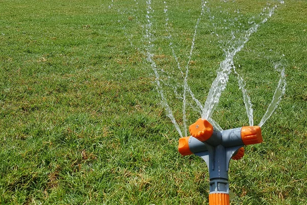 Automatic Sprinkler System Watering Lawn Background Green Grass Close Stock Image