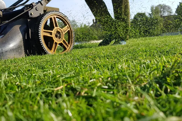 Rasenmähertraktor Schneidet Die Hohen Gräser Rasen Effektiv Der Rote Rasenmäher — Stockfoto