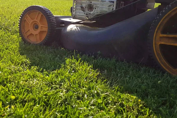 Græsplæne Plæneklipper Traktor Effektivt Afskære Høje Græs Plænen Den Røde - Stock-foto