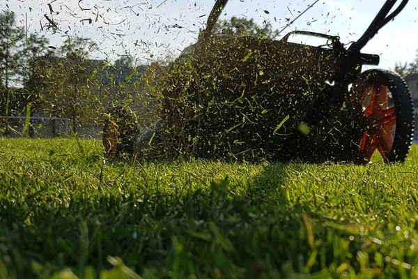 Memotong Rumput Lalat Dari Pemotong Rumput — Stok Foto