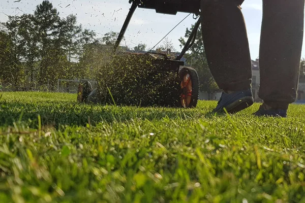 Memotong Rumput Lalat Dari Pemotong Rumput — Stok Foto