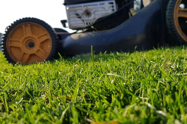 Gräsklippare Traktor Effektivt Skära Högt Gräs Gräsmattan Röd Gräsklipparen Gör — Stockfoto