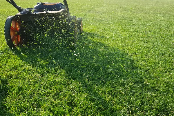 Klippa Gräs Flyger Från Gräsklippare — Stockfoto