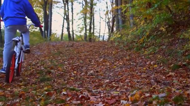 Joven Niño Montando Bicicleta Sendero Forestal — Vídeo de stock