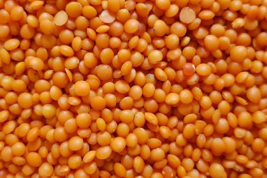 Kırmızı mercimek yakın plan. Bir sürü mercimeği olan bir arka plan..