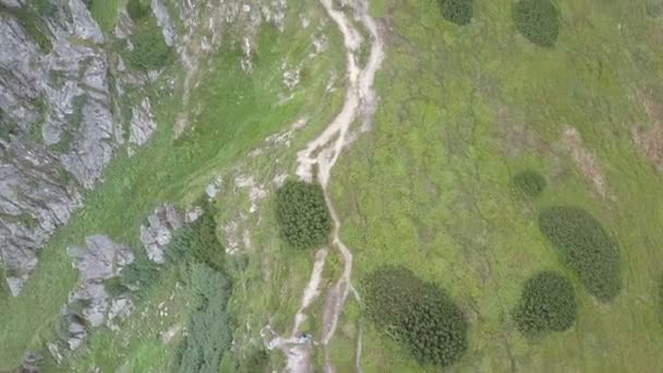 Hava Trafik Yeşil Bir Dağlık Arazi Dağ Aralıktır Ukrayna Karpatlar — Stok video