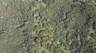 Hava trafik yeşil bir dağlık arazi dağ aralıktır. Ukrayna Karpatlar