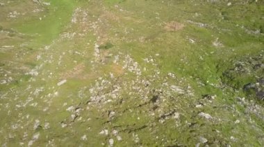 Hava trafik yeşil bir dağlık arazi dağ aralıktır. Ukrayna Karpatlar