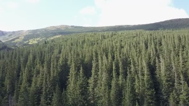 山脉是空中交通的绿色丘陵地形 乌克兰喀尔巴泰 — 图库视频影像