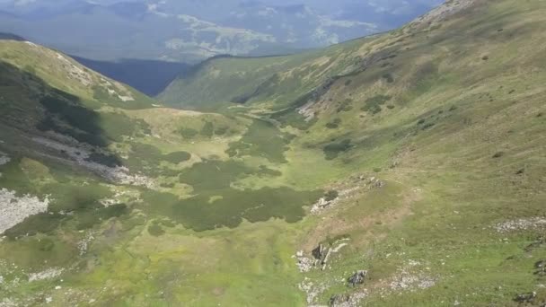 Hava Trafik Yeşil Bir Dağlık Arazi Dağ Aralıktır Ukrayna Karpatlar — Stok video