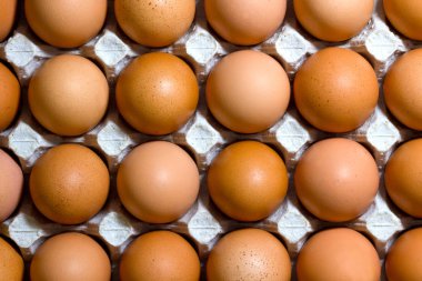 Bir tepsi içinde tavuk kahverengi yumurta düzgünce dönüm noktası üzerinden bir satır yukarı katlanmış..