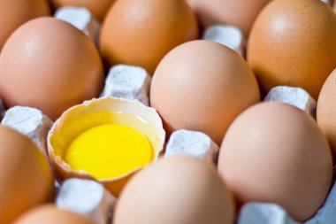 Tavuk yumurtası diğer yumurtaların yanında yarısı kırıktır.