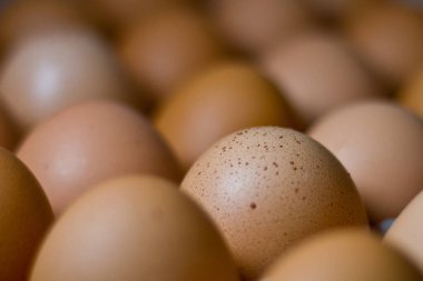 Corbecette taze kahverengi tavuk yumurta alan bir derinlik vardı.