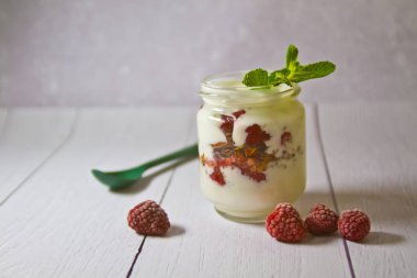 Tenekeleri Frambuaz ve nane ile yoğurt yakın çekim yaprak.
