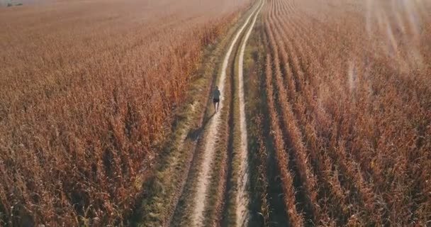 Luchtfoto Sport Joggen Uitgevoerd Jongen Jongeman Trackshot Ultra Atleet Jonge — Stockvideo