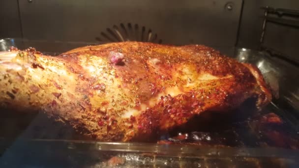 非常特写的烹饪烤架 并在热烤箱中烘烤脂肪和油脂燃烧 — 图库视频影像