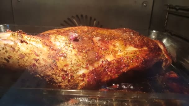 Mycket Närbild Matlagning Grill Och Grädda Varm Ugn Med Brännskadan — Stockvideo