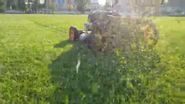 刈ったばかりの芝生は芝刈り機の下から飛ぶ — ストック動画